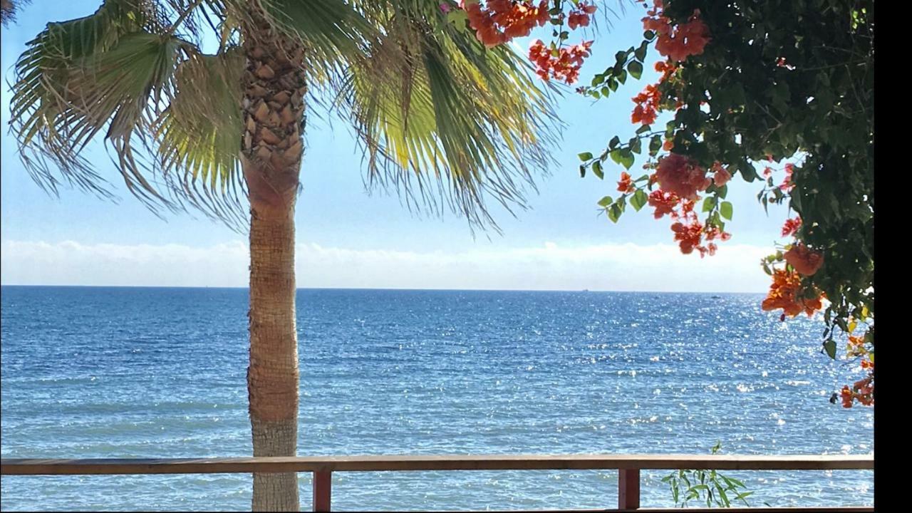 Mi Capricho Beachfront- P301 Apartment With Sea View Sitio de Calahonda Ngoại thất bức ảnh